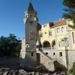 P1080131-w740_h555